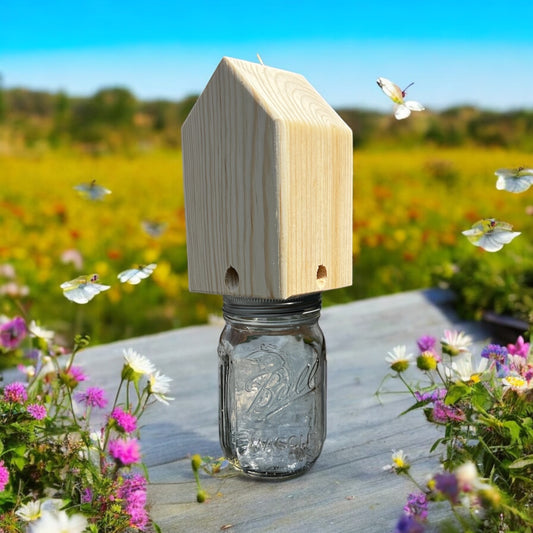 Carpenter Bee Trap