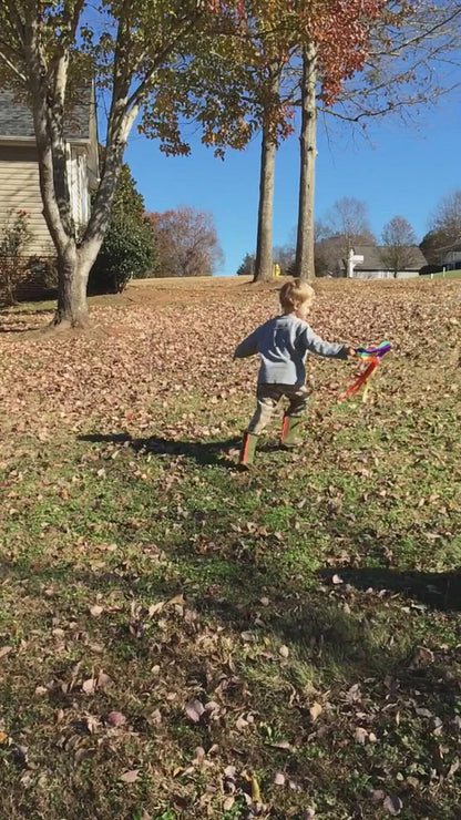 Hand Kites